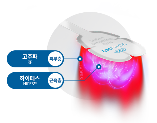 엠페이스